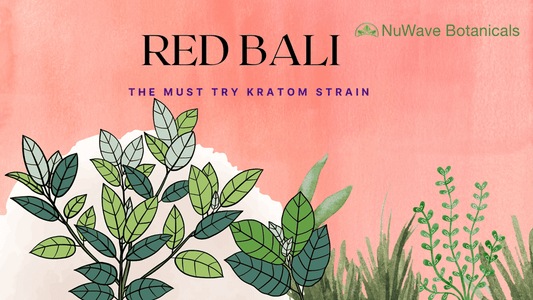 Discover the Secret Benefits of Red Bali Kratom for Relief and Relaxation