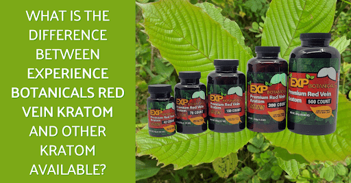 What is the difference between EXPERIENCE BOTANICALS Kratom and other Kratom available?